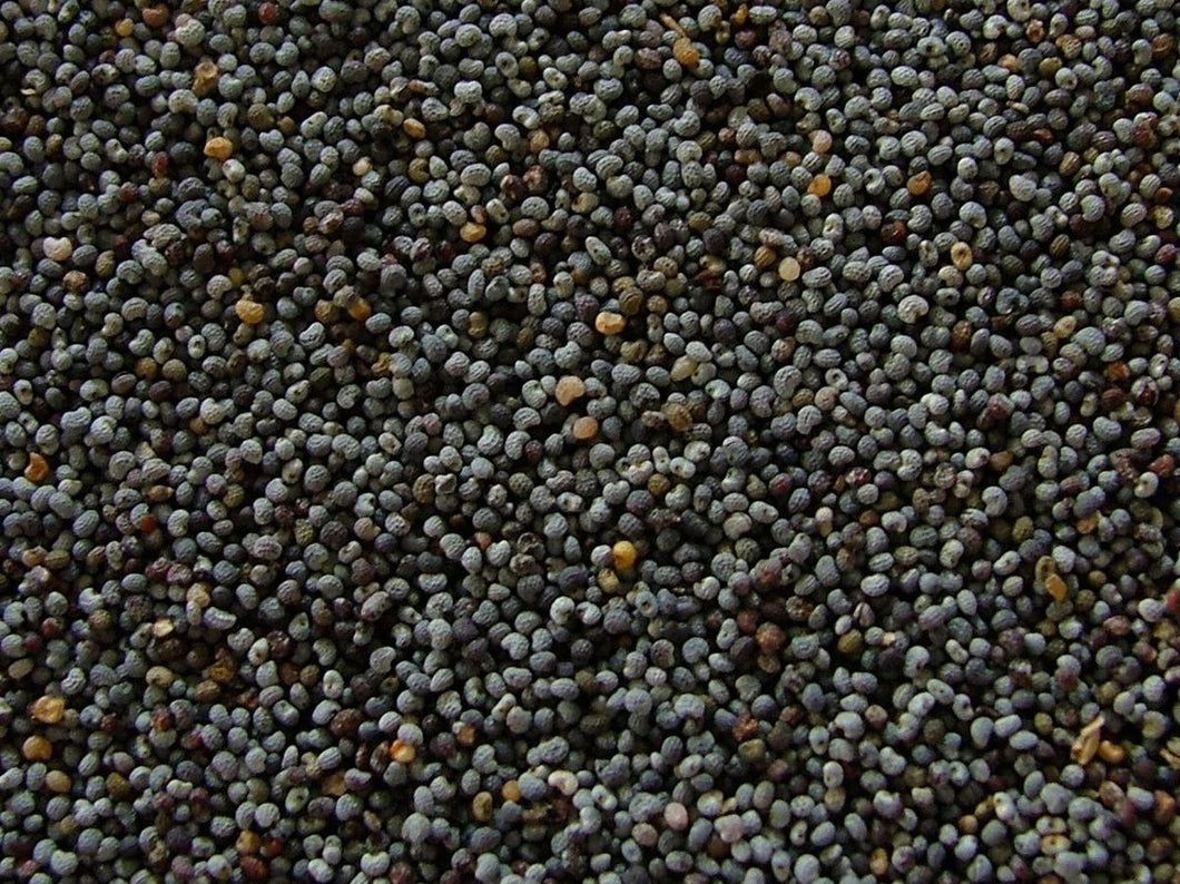 POPPY SEED BLACK 40 X 200 GM