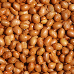 SOYA BEAN NUTS SALTED 20 LB  (NAI)