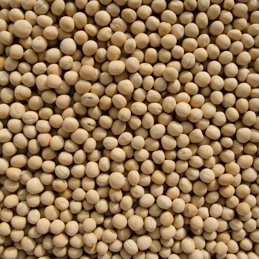 YELLOW PEAS WHOLE 32 X 800 G