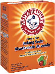 ARM & HAMMER BAKING SODA 24 X 250 G