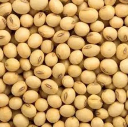 SOYA BEANS 22 LB  (NAI)