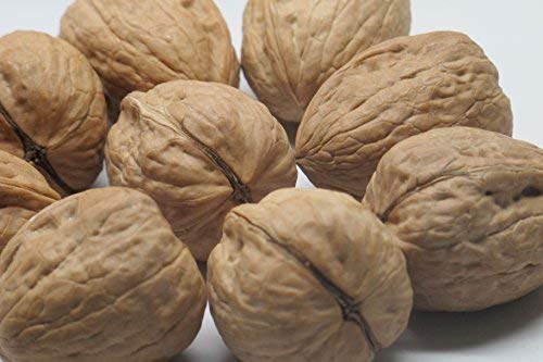 WALNUTS (WHOLE) JUMBO HARTLEY IN SHELL-5
0 LB (NAI)