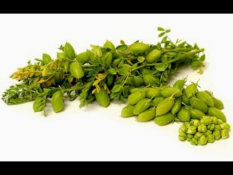 GREEN CHANA (CHOLIYA)  (SAMRA)