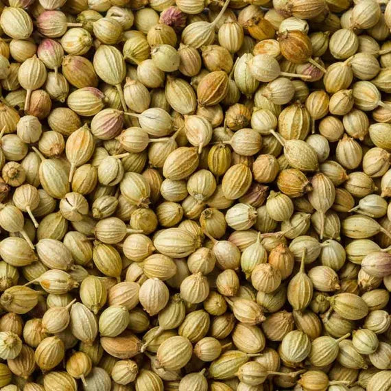 CORIANDER SEEDS 25 KG