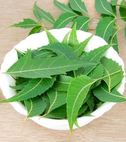 NEEM LEAVES 48 X 25 G