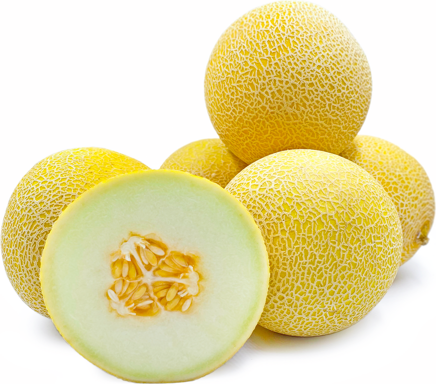 GALIA MELON