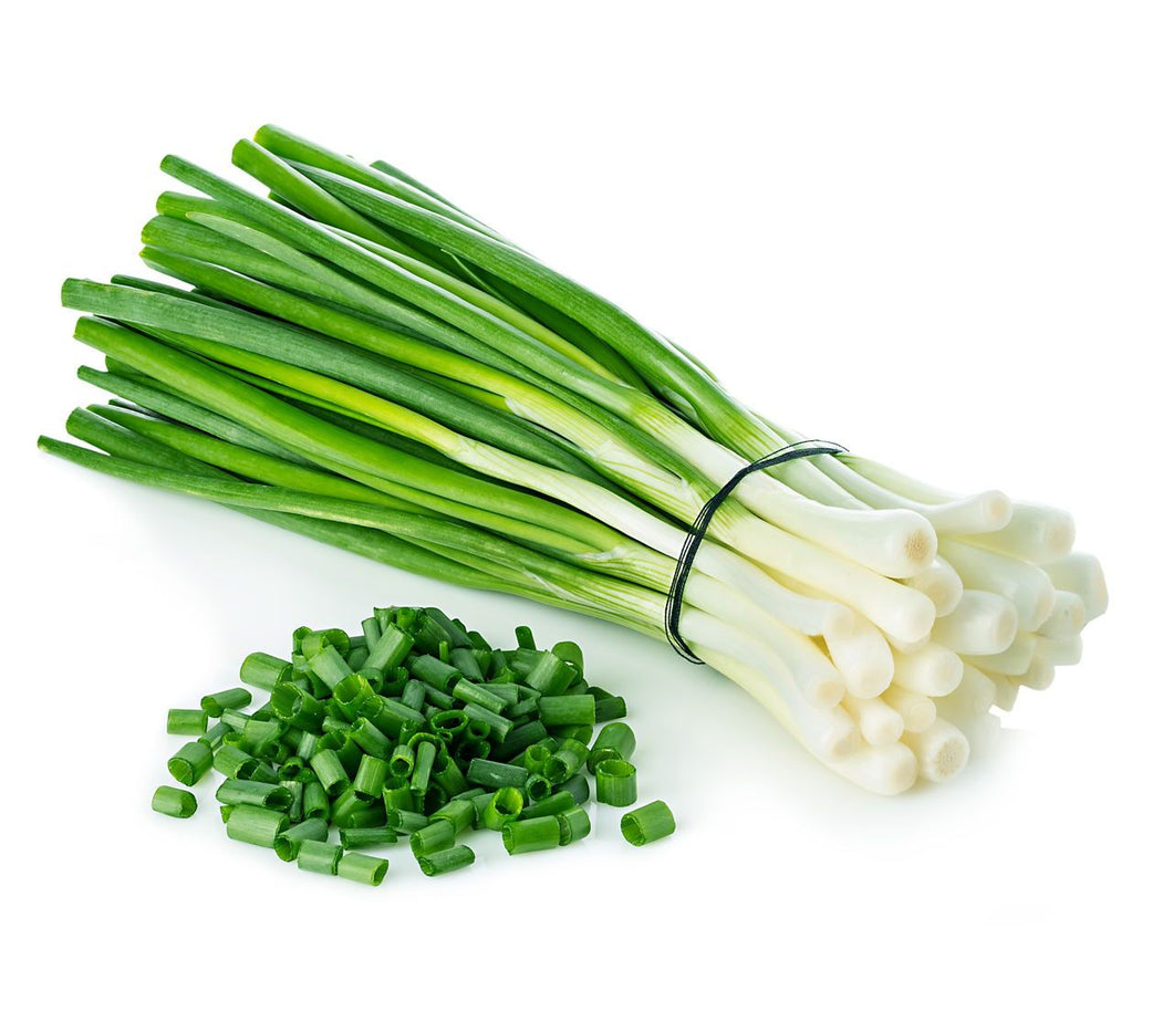 GREEN ONION 2 X 24