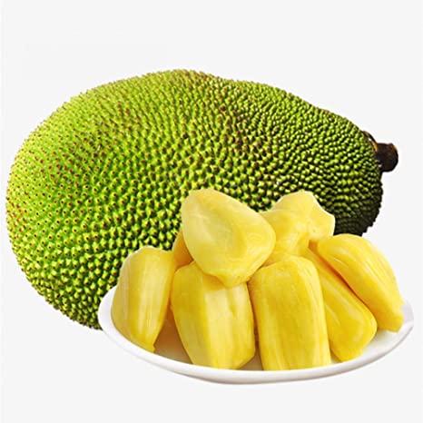 JACK FRUIT 40 LB