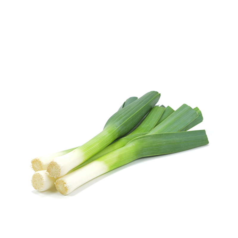 LEEK