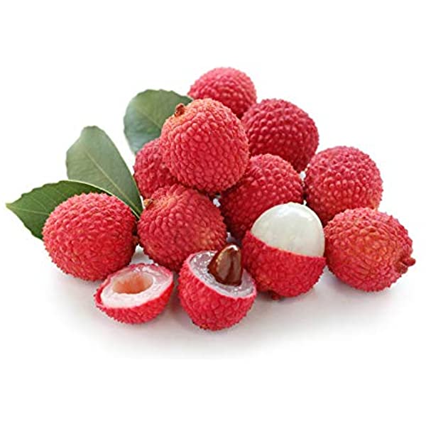 LYCHEE 13 LB