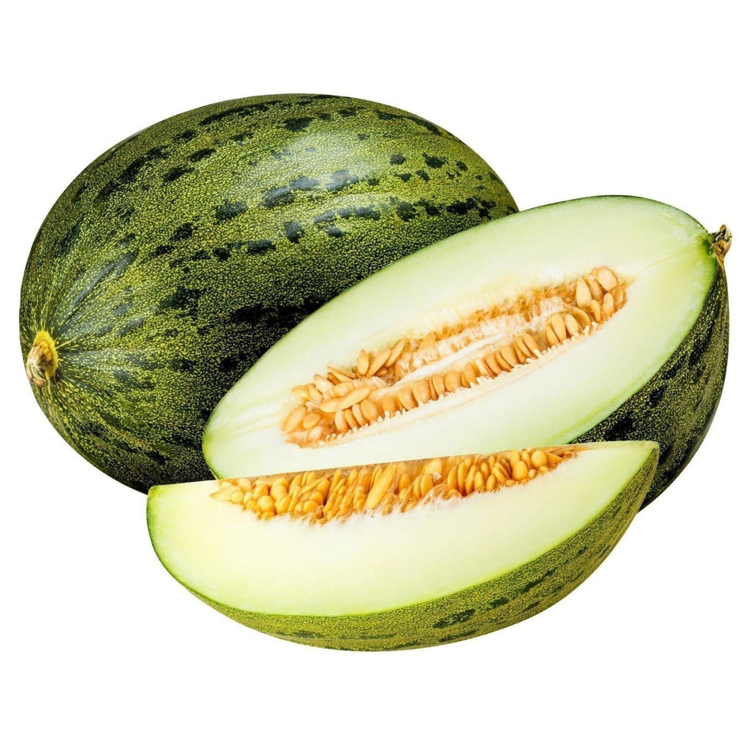 MELON PIEL DE SAPO