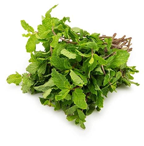 MINT 48 BUNCH  (SAMRA) (JIND PRODUCE $28
)