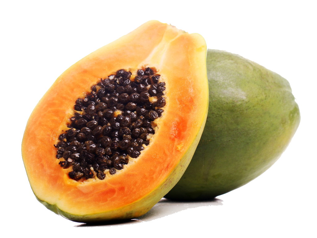 PAPAYA BIN