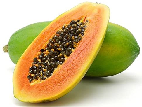 PAPAYA LARGE